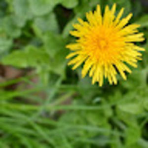 Meet your Posher, Photernity